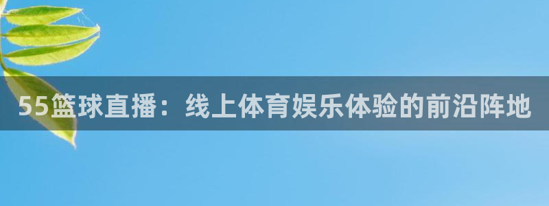 55篮球直播：线上体育娱乐体验的前沿阵地