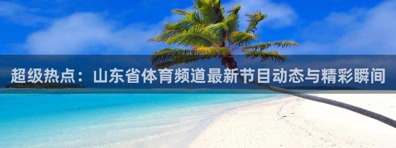 超级热点：山东省体育频道最新节目动态与精彩瞬间